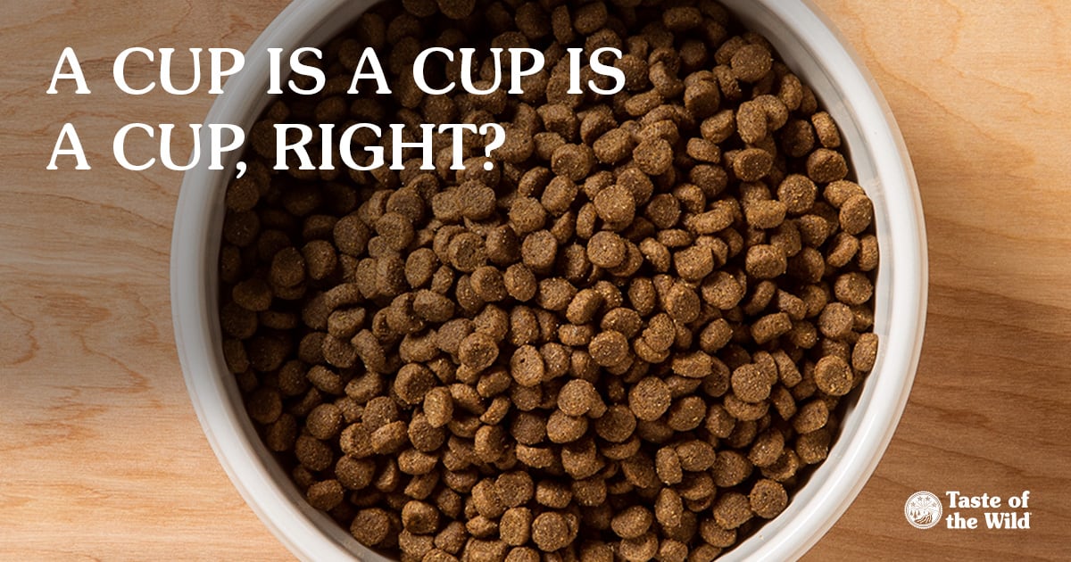 How to Properly Measure Pet Food Portions?